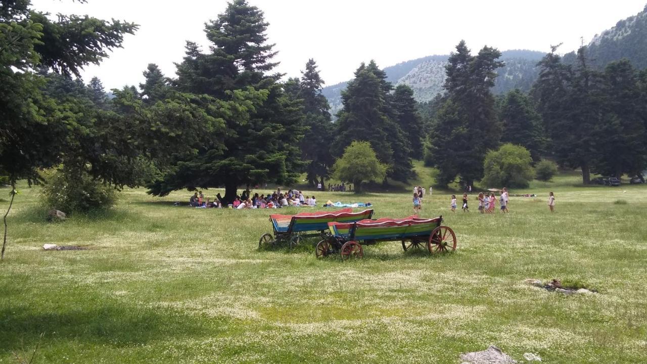 Dianthos Guesthouse Kiriáki Kültér fotó