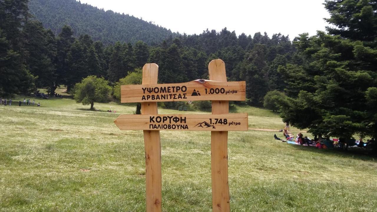 Dianthos Guesthouse Kiriáki Kültér fotó