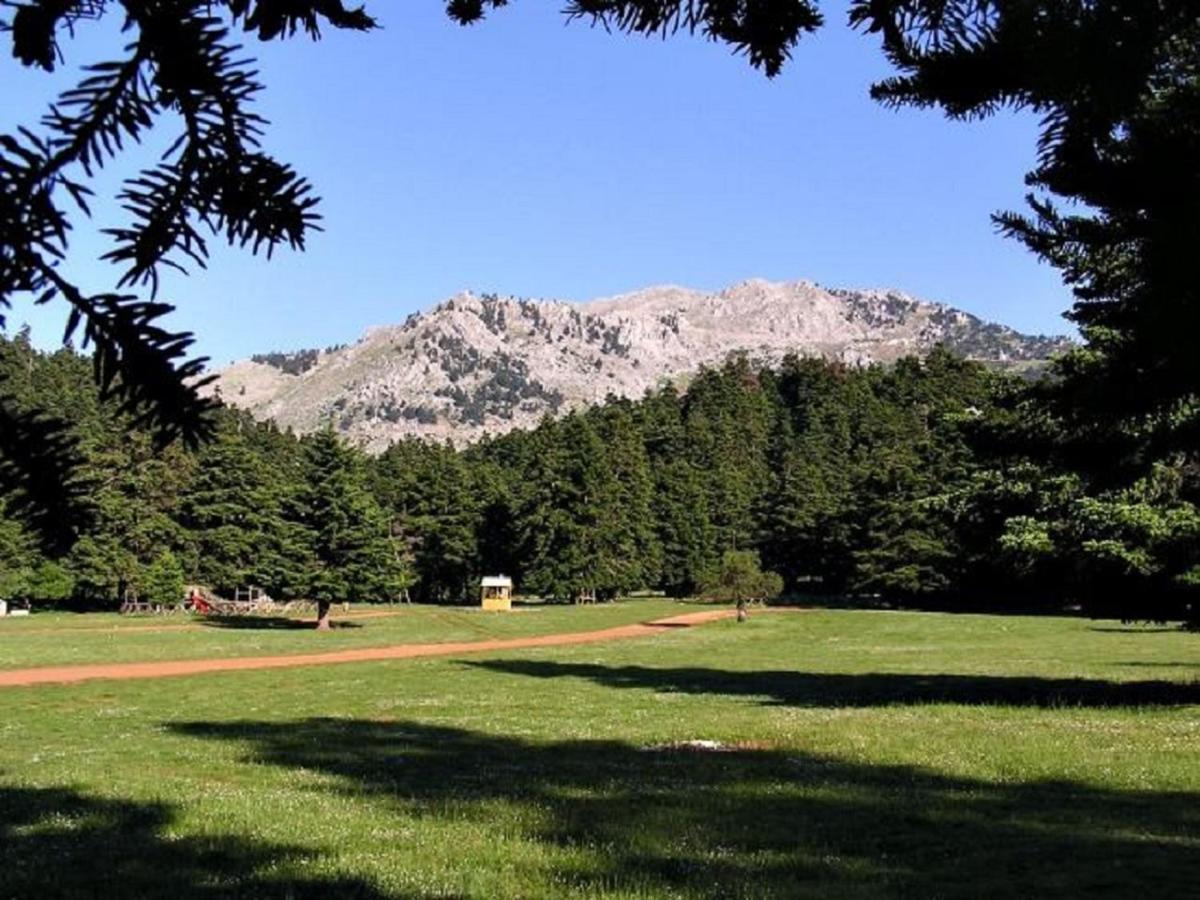 Dianthos Guesthouse Kiriáki Kültér fotó